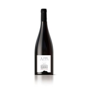 Bodegas Castaño - Sierra Alta Prestige