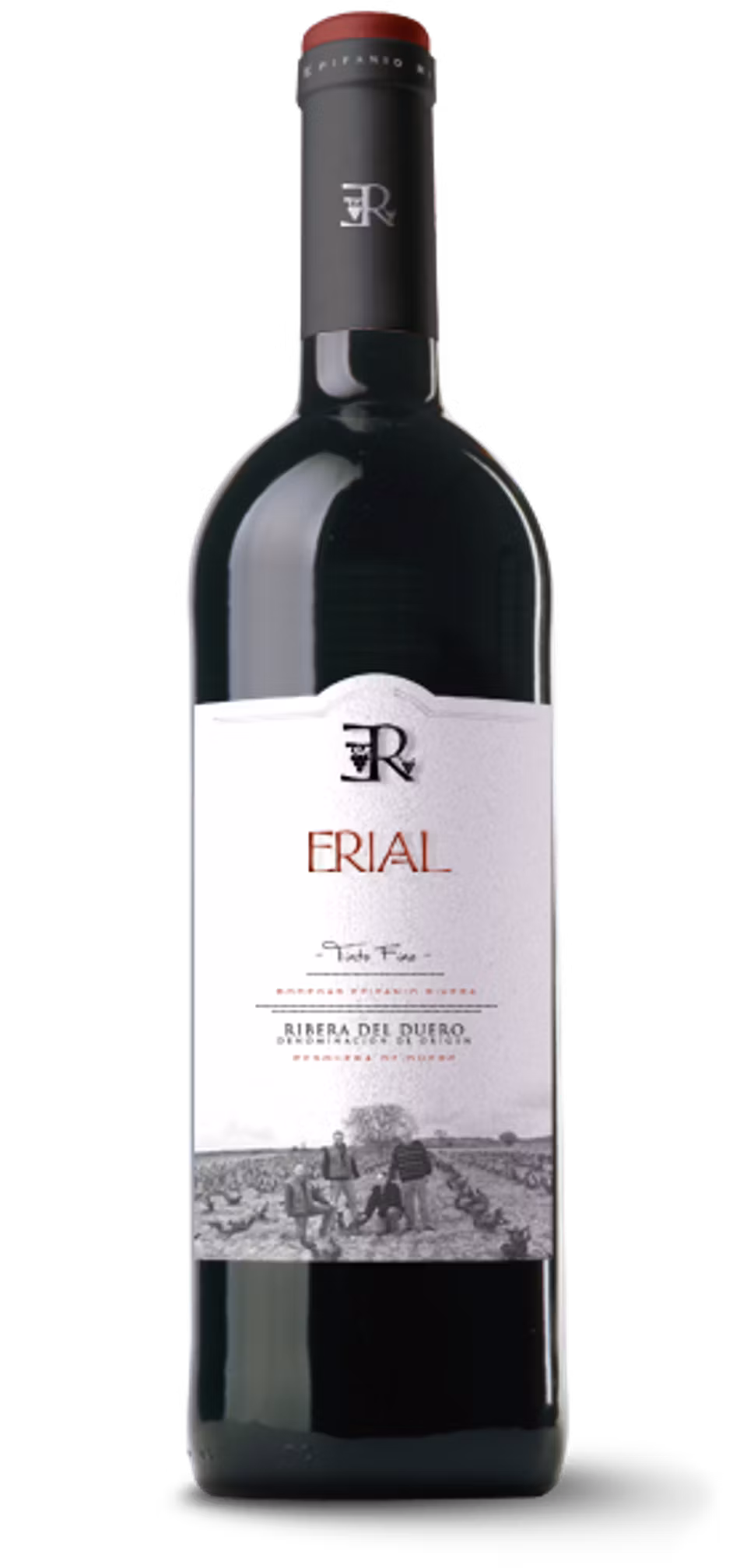 Bodegas Epifanio Rivera - Erial