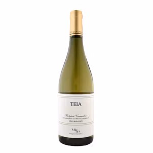 Villanoviana - Teia Bolgheri Bianco