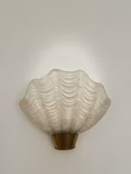 Pair of ASEA Wall Lamps Coquille. 1950s. Sweden