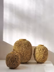 Gunnar Nylund trio Mustard Chamotte Vase