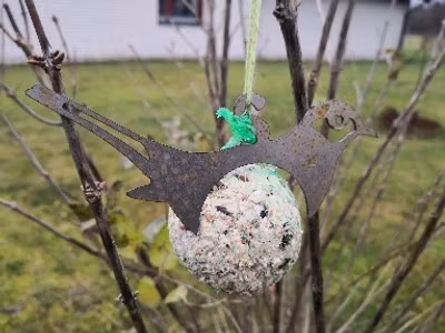Fågel-matare talgboll