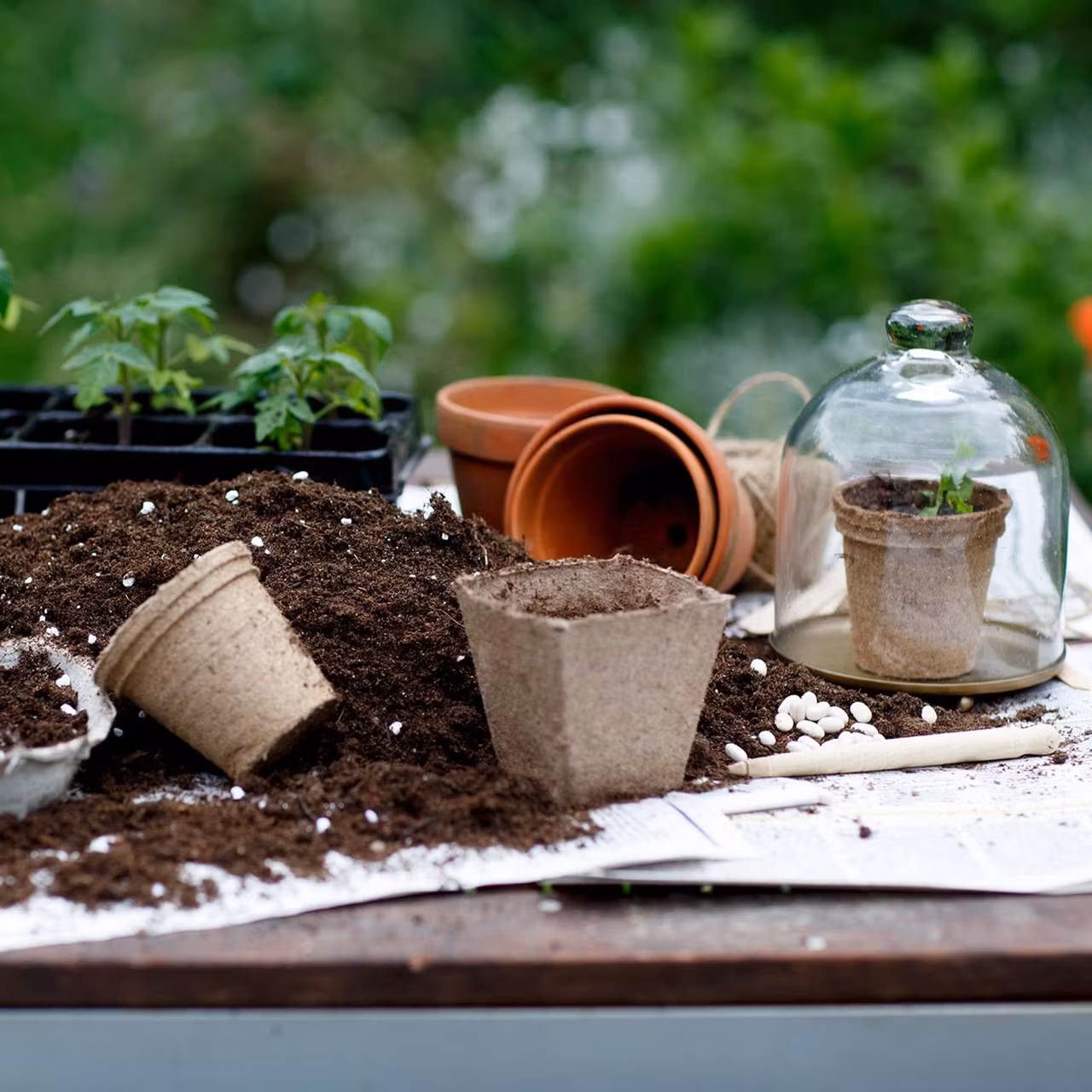 Krukor & Miniväxthus - Västernäs Handelsträdgård