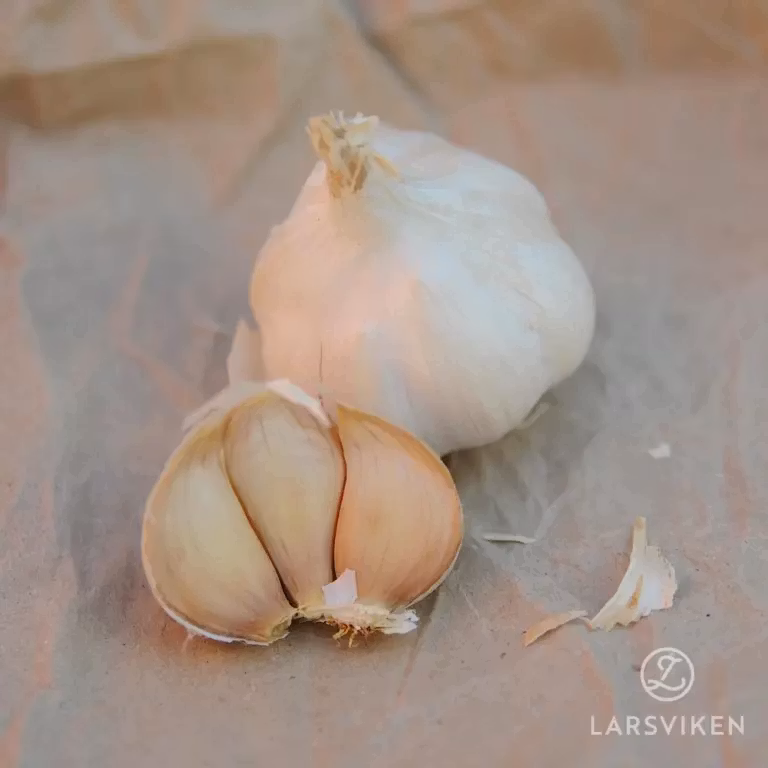 Vitlök - Västernäs Handelsträdgård