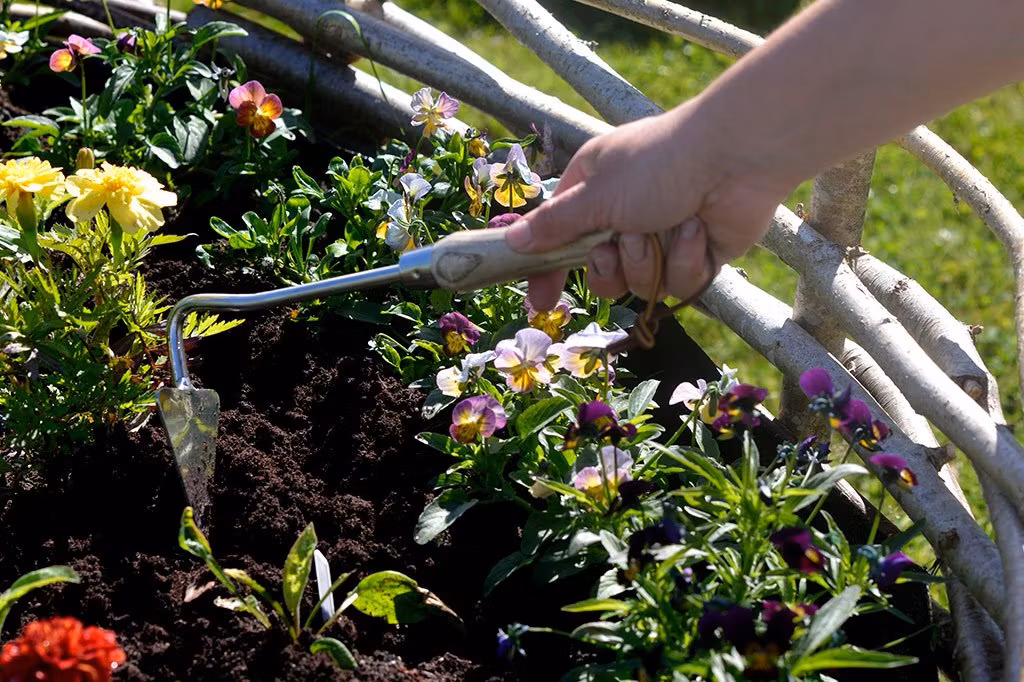 Redskap & Trädgårdskläder - Västernäs Handelsträdgård