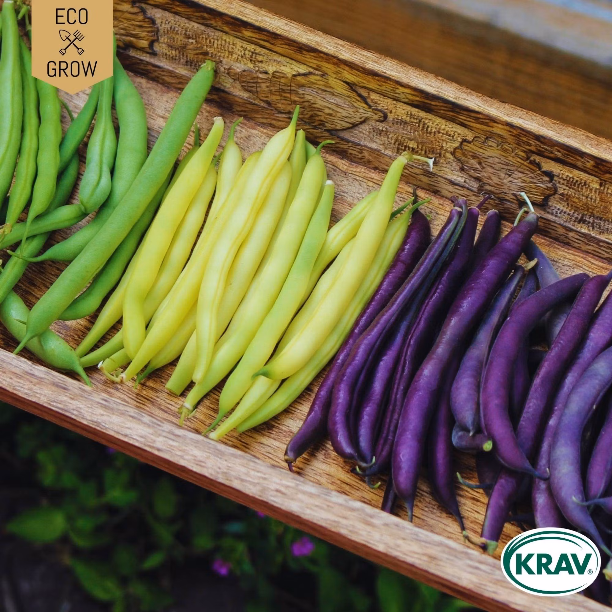 Bönor & Ärtor - Västernäs Handelsträdgård