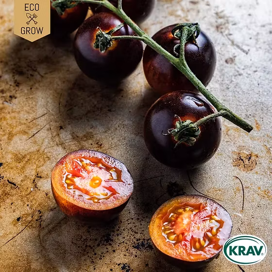 Tomatfrön - Västernäs Handelsträdgård