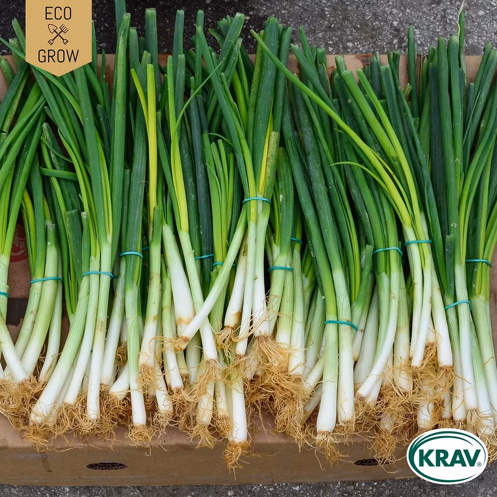 EKO - Västernäs Handelsträdgård