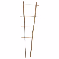 Krukspaljé Bambu 60cm