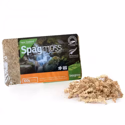 Sphagnummossa 100 gram (8L)