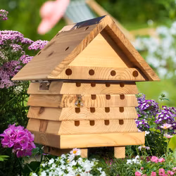 Bihotell för solitärbin