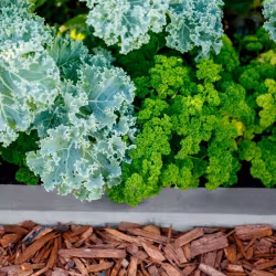 Ört- och Grönsaksjord KRAV