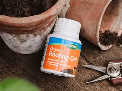 Rooting Gel 150ml