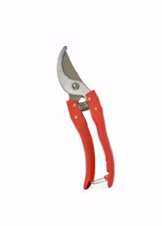 Papegojsekatör 21 cm