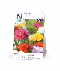Freesia, Dubbel, bland. färger