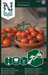 Tomat, Ampel-, Gartenperle