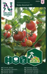 Tomat, Baby Boomer F1