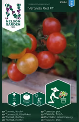 Tomat, Kruk-, Veranda Red F1