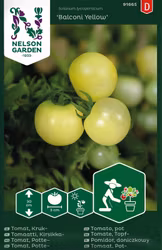 Tomat, Kruk-, Balconi Yellow