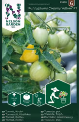 Tomat, Kruk-, Funnyplums CreamyYellow F1