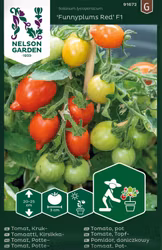Tomat, Kruk-, Funnyplums Red F1