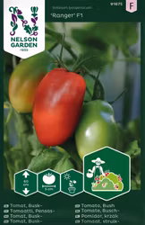 Tomat, Busk-, Ranger F1
