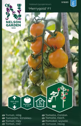 Tomat, Hög, Merrygold F1