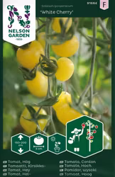 Tomat, Hög, White Cherry