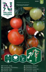 Tomat, Hög, Moneymaker