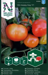Tomat, Hög, Oh Happy Day F1