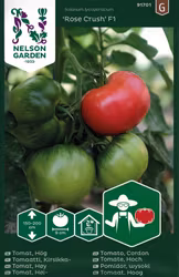 Tomat, Hög, Rose Crush F1