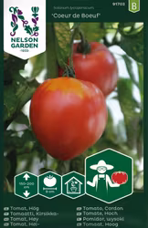 Tomat, Hög, Coeur de Boeuf