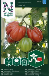 Tomat, Hög, Liguria