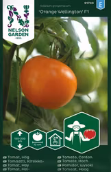 Tomat, Hög, Orange Wellington F1