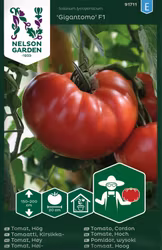 Tomat, Hög, Gigantomo F1