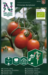 Tomat, Hög, Principe Borghese, Organic