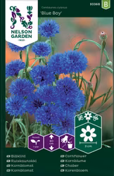 Blåklint, Blue Boy, blå