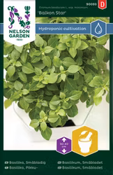Basilika, Småbladig, Balkon Star, Harvy