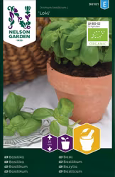 Basilika, Loki, Grön, Organic