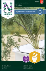 Dill, Blad, Thalia, Harvy