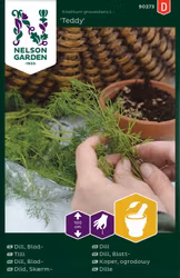 Dill, Blad-, Teddy
