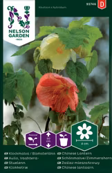 Klockmalva / Blomsterlönn, bl färger