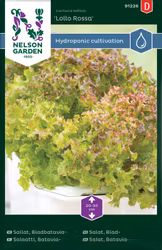 Sallat, Bladbatavia-, Lollo Rossa, Harvy