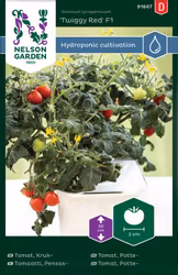 Tomat, Kruk-, Twiggy Red F1, Harvy
