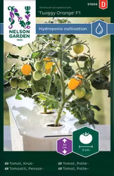 Tomat, Kruk-, Twiggy Orange F1, Harvy