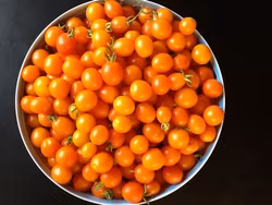 Körsbärstomat Naranja, ekofrö