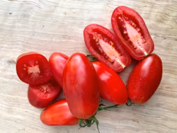 Pastatomat Andine Cornue, ekofrö