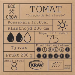 Tomat - Coração de Boi riscado, EKO