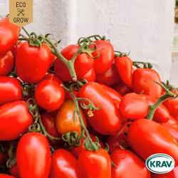 Plommontomat - San Marzano 2, EKO