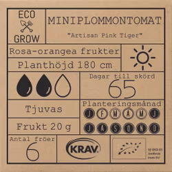 Miniplommontomat - Artisan Pink Tiger, EKO